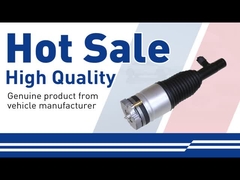 Amortiguador de aire-31658904