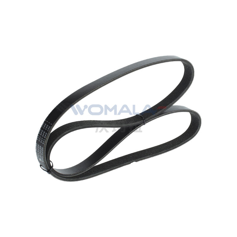 Cinturón de transmisión del generador Womala OE 30777807 para Volvo S40 V50 C30 Partes de repuesto del motor automático