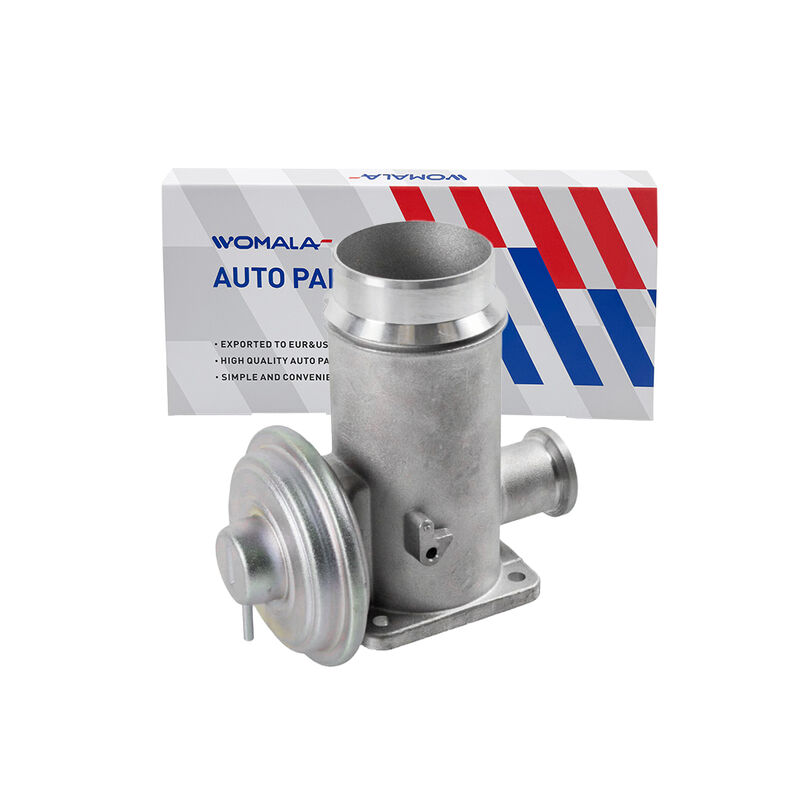 Válvula de Recirculación de Gases de Escape Womala Auto Parts OE 11717792077 Válvula EGR para BMW