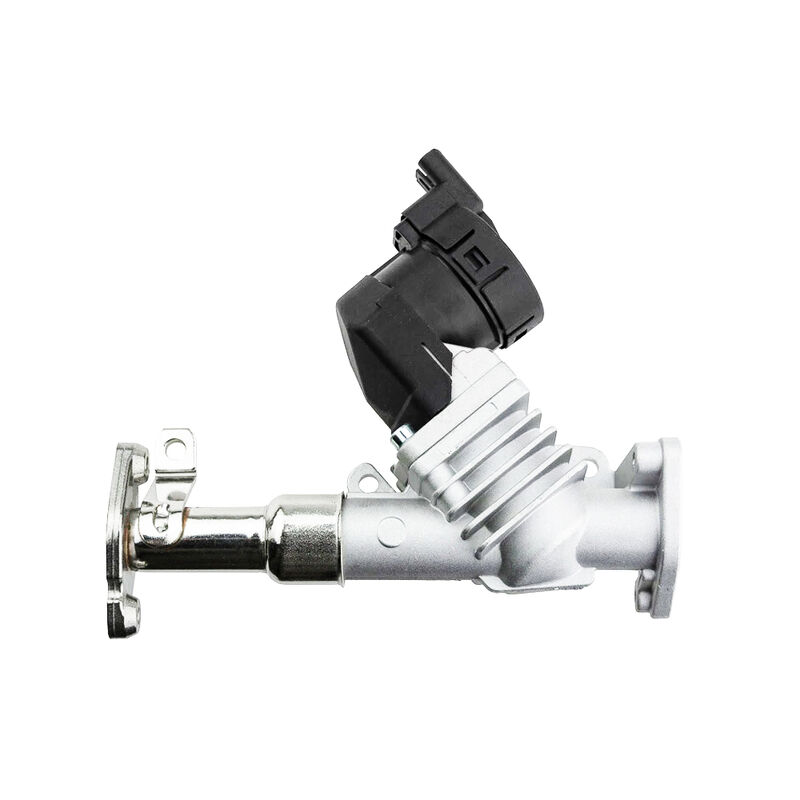 Womala Auto Parts EGR válvula 11717563241 11718479590 para BMW Serie 1/3/5