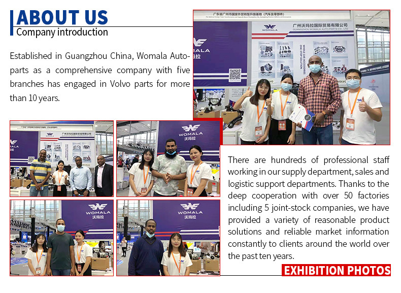 Cinturón de seguridad trasero derecho Womala OE 31320495 para Volvo S40 V50 Auto Parts